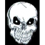 SKULL WITH THE TEETH PIN
